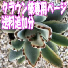 クラウン様 リクエスト 3点 まとめ商品　追加送料分