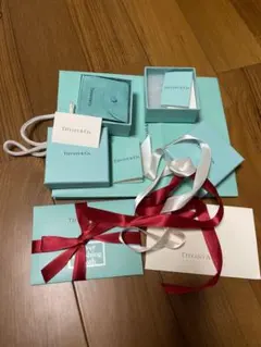 Tiffany & Co ギフトボックスセット 空箱 紙袋 保管ケース クロス