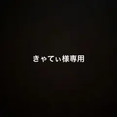 きゃてぃ様専用ページ