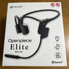 AVIOT Openpiece Elite WB-E1M 本体のサムネイル