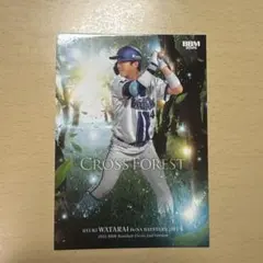 BBM 2026 2nd 度会隆輝 CROSS FOREST