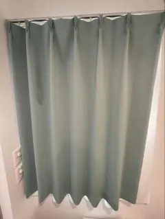 グリーンドレープカーテン 100×125cm 1枚