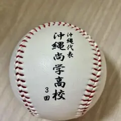大阪桐蔭高等学校 野球記念ボール 第73回全国高校野球選手権大会 第96回全国高校野球選手権大会 大阪桐蔭高校 優勝記念ボール 飾り用