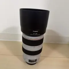 【メルカリ最安値】Canon EF 70-300 F4-5.6 IS Ⅱ USM 2026年最新】EF70-300mm F4-5.6 IS USM 2の人気アイテム - メルカリ