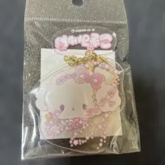 サンリオ　むにゅぐるみ　こぎみゅん　まほうつかい　アクリルキーホルダー　新品