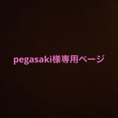 pegasaki様専用ページ