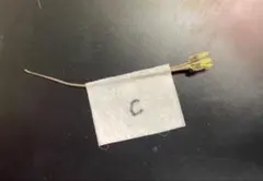 【MONO様専用】モンソニア ペニクリナム　種子3粒(c）8.1.10