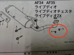 パーツ QSTARZ8000GT Amazon | キタコ(KITACO) スーパートルクカム タイプ2 (スリット