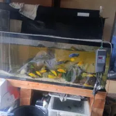 アクリル水槽セットのサムネイル