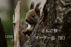 さんご様・オーダー品（仮）