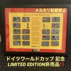 激レア‼️FIFA ドイツワールドカップ 記念　限定ピンバッジ・ピンズ セット