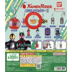 仮面ライダー　めじるしアクセサリー　仮面ライダーヴラム