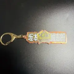 坂本誠志郎 シークレット オーロラアクリルネームキーホルダー 阪神タイガース