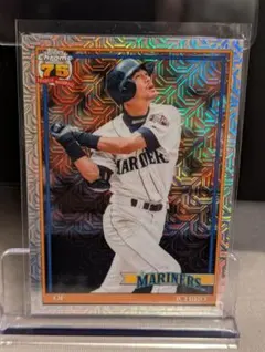 Item thumbnail for item 336b5663-8ad0-443c-b0bb-fd5aafd2415a