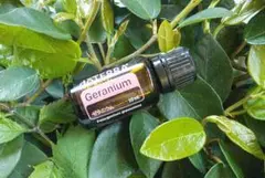 ２７日（木）午前１１時迄 リピートみいこ様 リクエスト 3点 まとめ商品