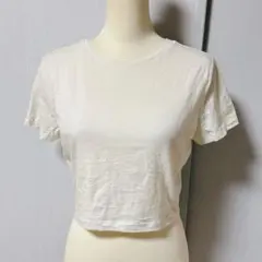 Item thumbnail for item 5452f168-bea4-4b0e-8fe7-c18cb1f7b508