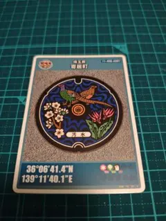 Item thumbnail for item f3caf814-e7ed-42a4-9b39-3676be14fa86