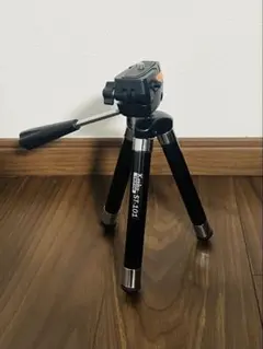 Item thumbnail for item 5c45458e-b67b-431d-9310-75e499c7b675