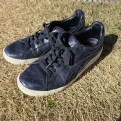 Item thumbnail for item d27fa941-04f3-4fc3-98bd-027eecae7075