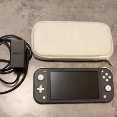 Nintendo Switch Lite グレー 専用ケース、充電器付
