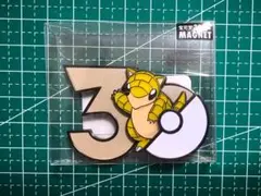 中国限定 ポケモン30周年 マグネット ウソハチ 宝可梦30th MAGNET