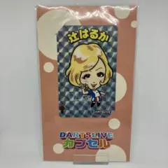 ダーツ祭 實近菜那（ななちゃら） ダーツライブカード - メルカリ