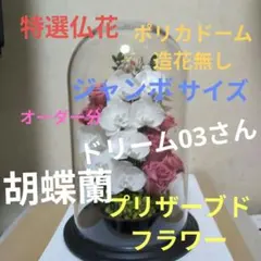 フラワーアレンジ ポリカドーム ジャンボサイズ プリザーブドフラワー