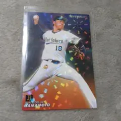 Item thumbnail for item 427c14d5-84a1-4b15-a815-db38259cc60e