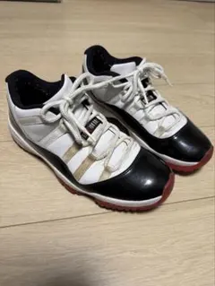 skr様専用　Nike Air Jordan 11 Retro Low