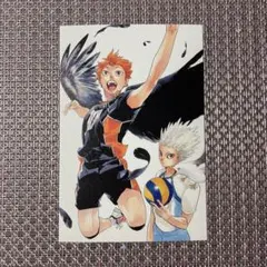 ハイキュー展　ポストカード　日向　星海