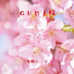 GUMI︎︎様 リクエスト 3点 まとめ商品