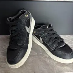 NIKE ジョーダン1LOW ALT SE キッズ　20cm