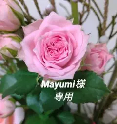 Mayumi様専用です