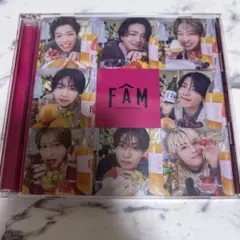 FAM 通常盤
