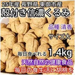 【期間限定セール】25年産 殻付きくるみ 長野県 胡桃 健康食品 大 1.4kg