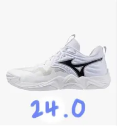 MIZUNO WAVE MOMENTUM ELITE V1GA2512