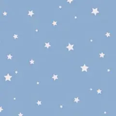 Cookie好き_(┐「ε:)_びよ〜ん様 リクエスト 4点 まとめ商品