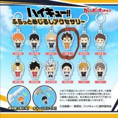 ハイキュー!! ふらっとめじるしアクセサリー 西谷　夕