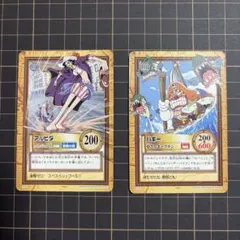 ワンピース カードダス ハイパーバトル 公式カードカタログ 付録 【未
