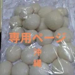 専用ページ☆水曜日発送☆