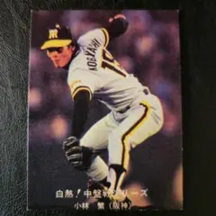 2025年最新】小林_繁の人気アイテム - メルカリ