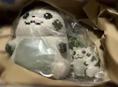 タグ付き新品 記念箱 はじまりのピカチュウ　マスコット　ぬいぐるみ　2点セット