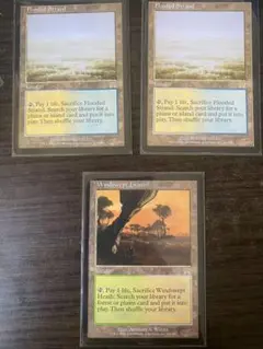 Item thumbnail for item 8cd61aab-ec3f-425c-9adc-eb988986275d