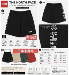THE NORTH FACE エバーグリーンショーツ ブラック 2XLのサムネイル