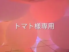 トマト様専用