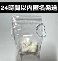 【24時間以内匿名発送】ミニスクイーズ 犬