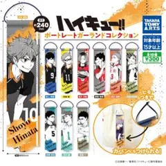 ハイキュー ポートレートガーランドコレクション 夜久衛輔