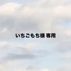 いちごもち様 専用ページ