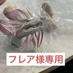 フレア様専用