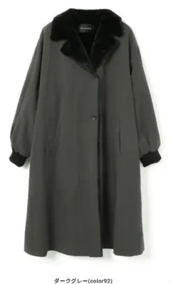 2025年最新】Mizuiro ind バックボアコートの人気アイテム - メルカリ